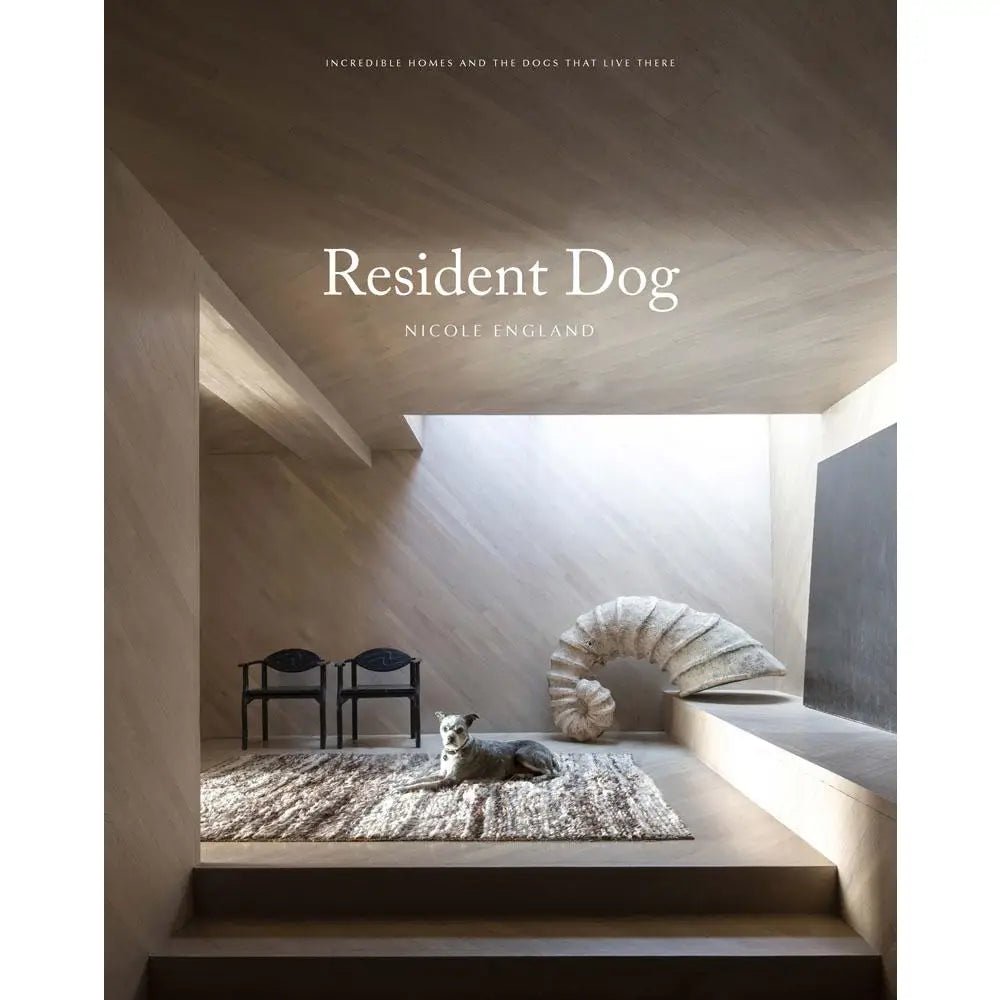 Resident Dog | {neighborhood} Chronicle Books